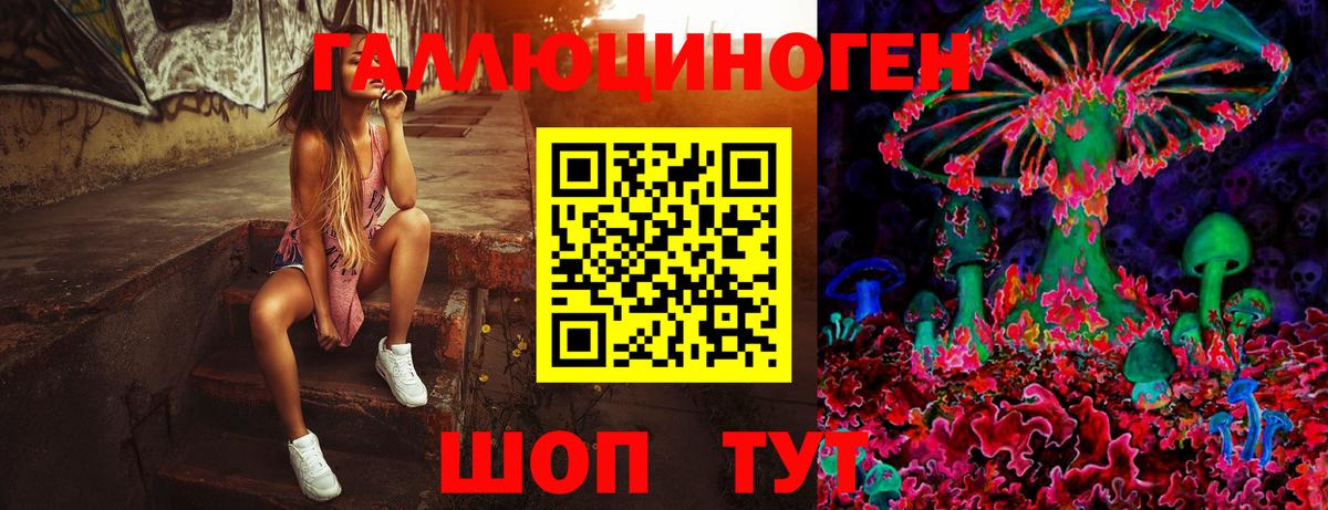 Самара  Псилоцибиновые грибы Psilocybine cubensis  Вход с VPN 