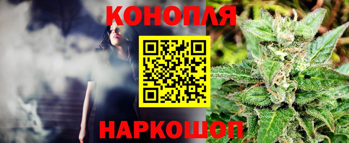 Конопля сатива Самара
